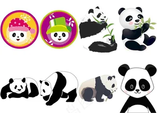 熊猫图片