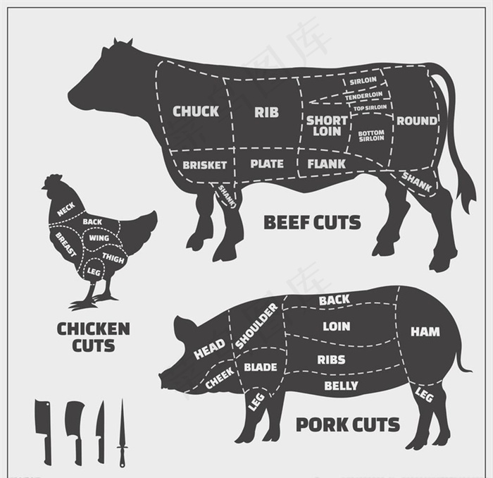 家禽解剖分割结构图 矢量 牛肉图片cdr矢量模版下载