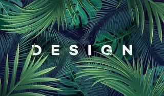 热带植物森系背景图片