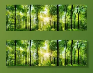 森林图片