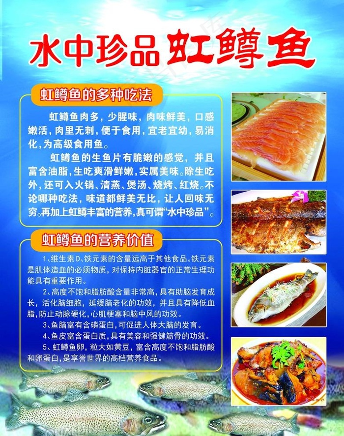 虹鳟鱼图片psd模版下载