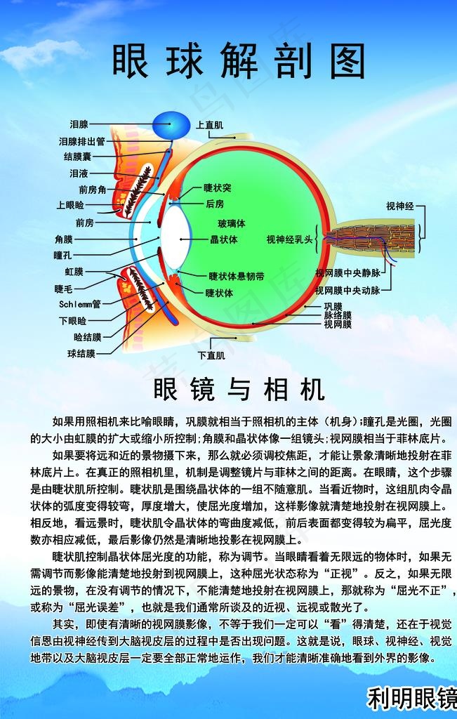 眼镜图片(2362X3543(DPI:100))psd模版下载