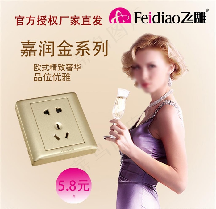 飞雕开关图片