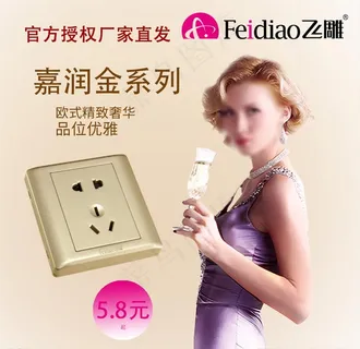 飞雕开关图片 飞雕开关图片