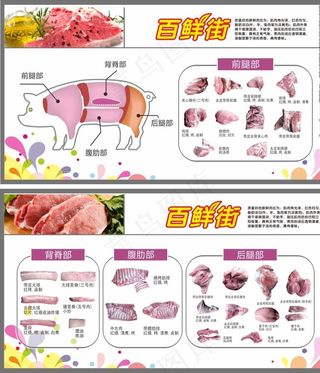 猪肉分割图图片