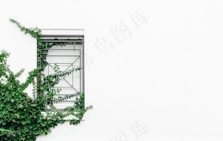 小清新植物简约风壁纸图片