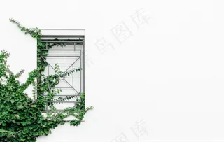 小清新植物简约风壁纸图片