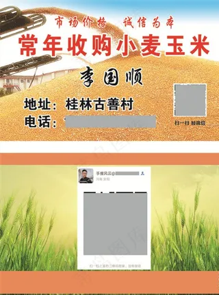 玉米名片图片