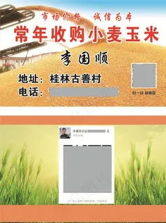 玉米名片图片 玉米名片图片