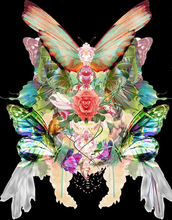 蝴蝶花朵花卉矢量图下载图片