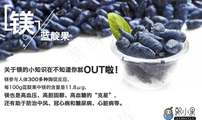 蓝靛果图片(3543X2226(DPI:150))psd模版下载