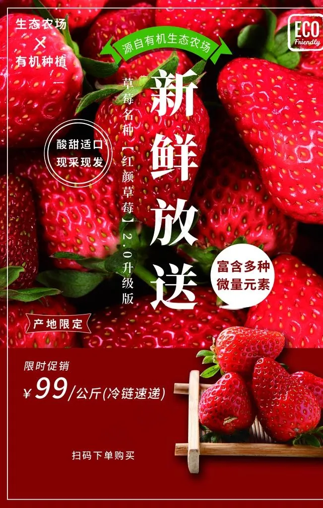 草莓图片(2362X3543(DPI:200))psd模版下载