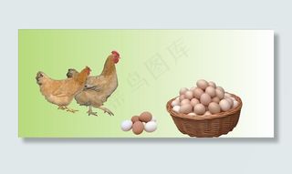 土鸡和土鸡蛋图片