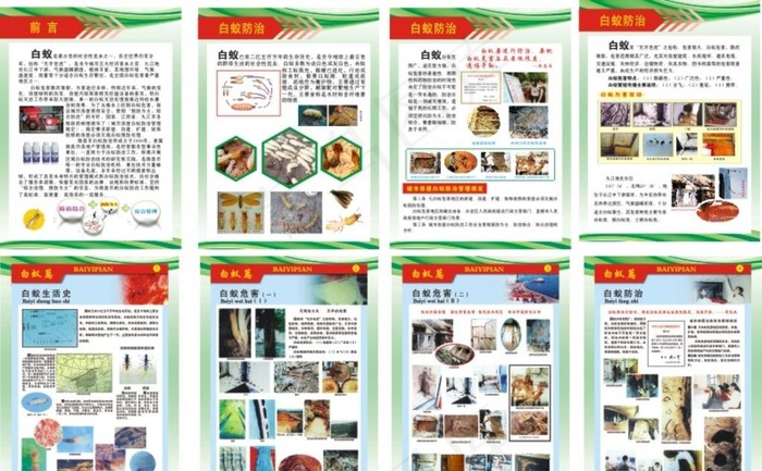 白蚁防治宣传图片(600X800)cdr矢量模版下载