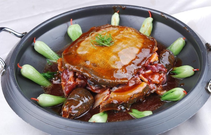 洪湖甲鱼图片