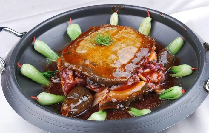 洪湖甲鱼图片