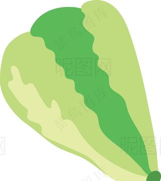 白菜图片