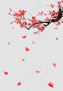 飘落的花瓣图片