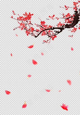 飘落的花瓣图片