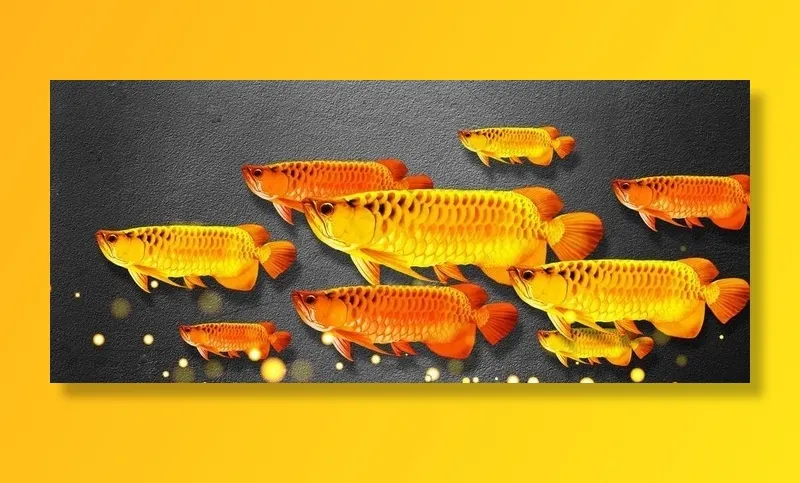 新中式金色金龙鱼锦鲤装饰画图片(9449X4724(DPI:150))psd模版下载