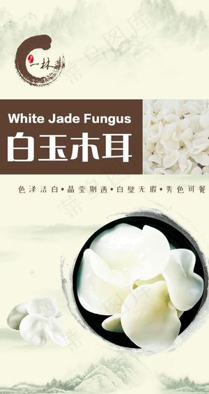 白玉木耳图片