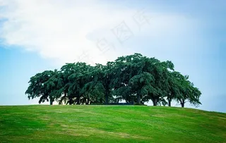 草坪图片