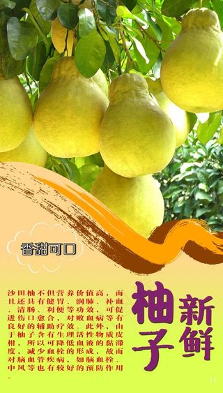 柚子广告图片