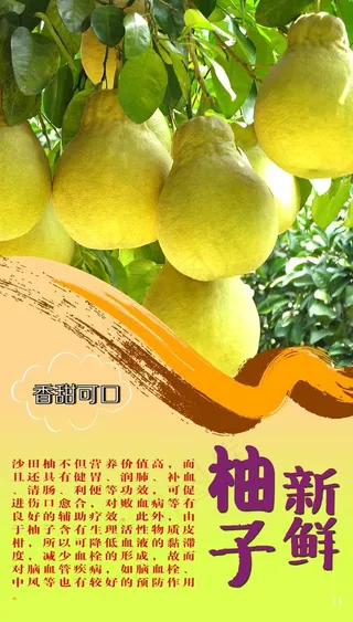 柚子广告图片