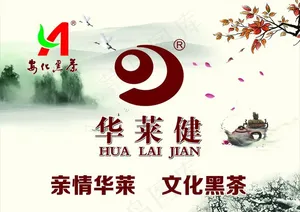 华莱健图片