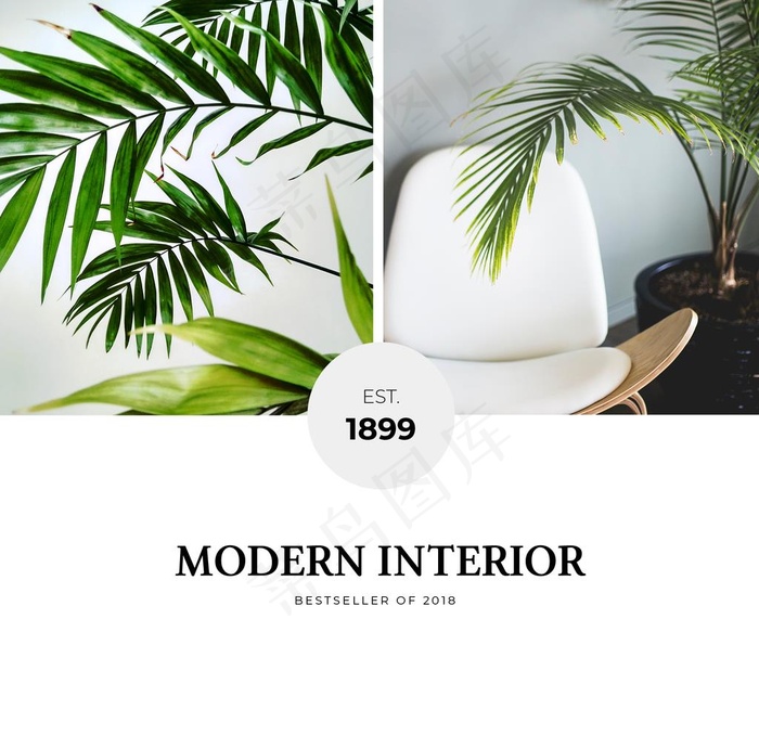 照片图片排版设计