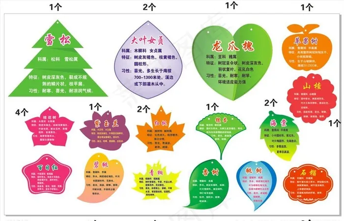 树木介绍牌图片cdr矢量模版下载