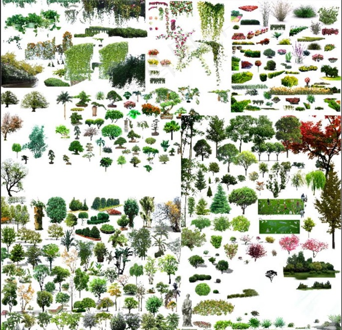 园林树木 绿植图片(11811X11811(DPI:300))psd模版下载