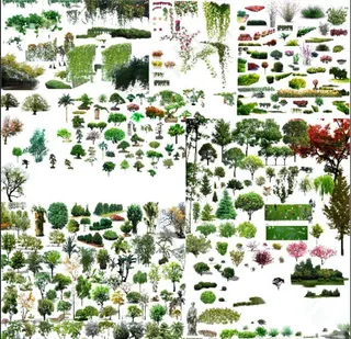 园林树木 绿植图片