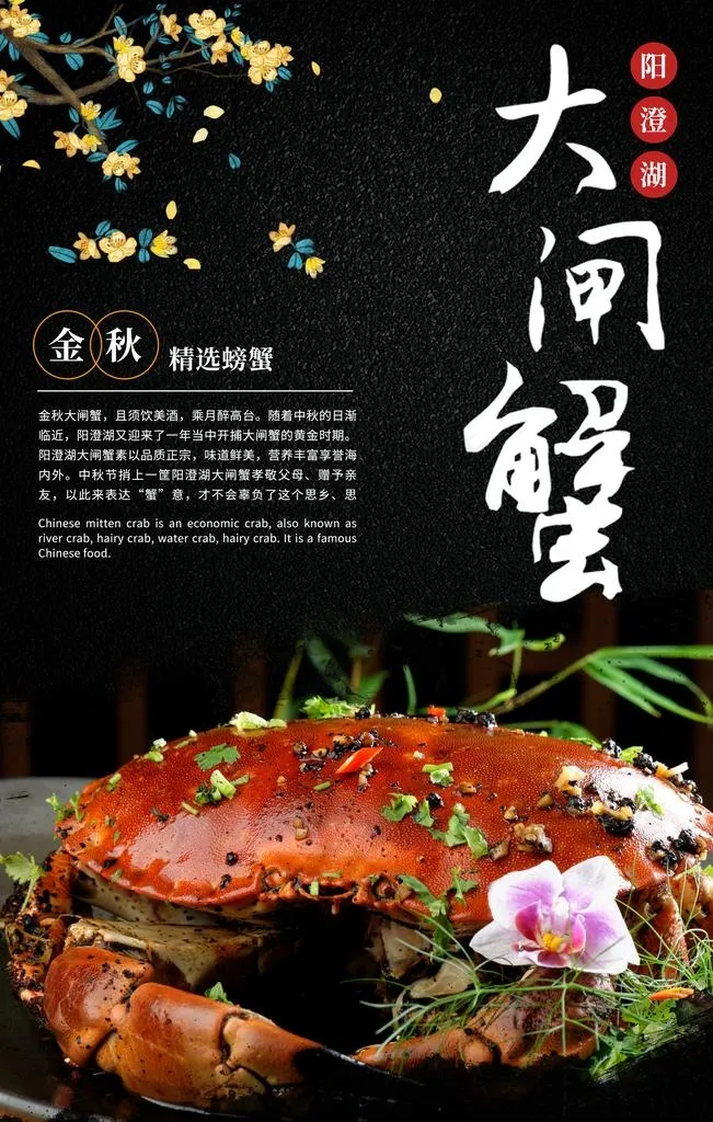 大闸蟹海报图片(3543X5315(DPI:150))psd模版下载