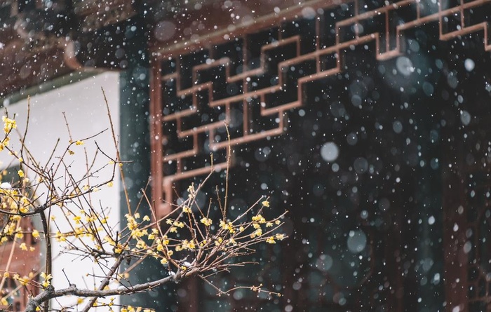 庭院图片