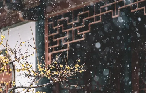 庭院图片 庭院图片