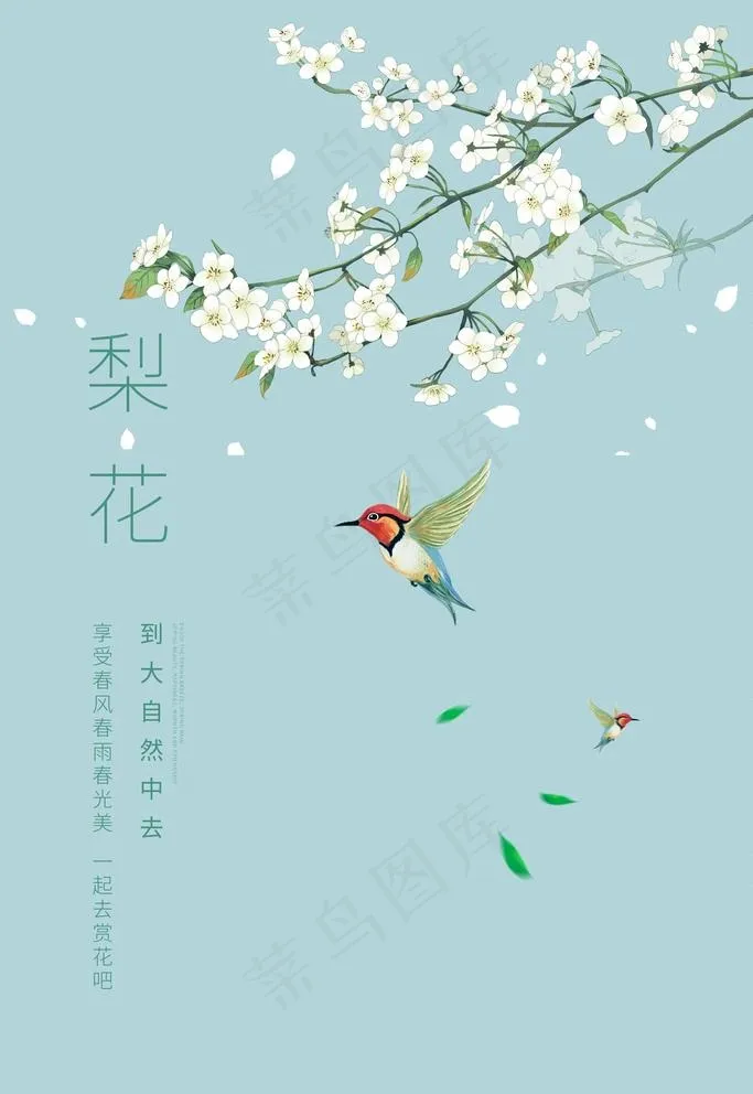 梨花图片(3543X5315(DPI:150))psd模版下载