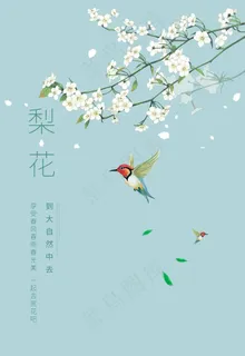梨花图片 梨花图片