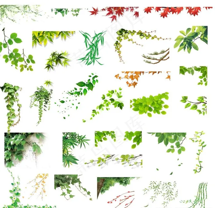 树叶装饰元素图片(7087X7087(DPI:300))psd模版下载