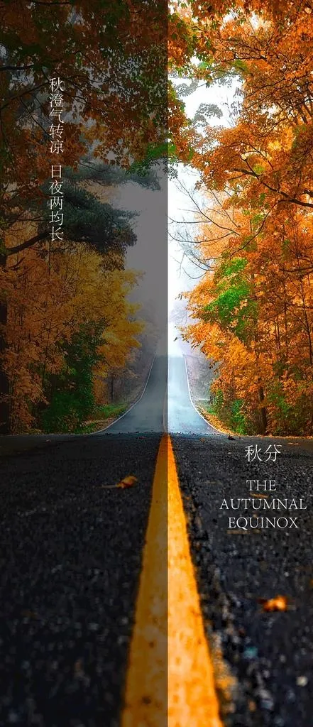 秋分图片ai矢量模版下载