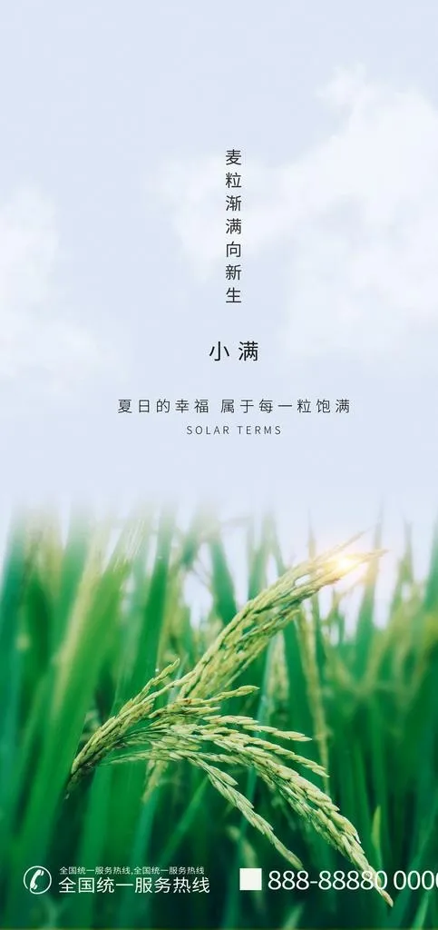 地产小满清新简约创意海报图片(3543X7042(DPI:300))psd模版下载