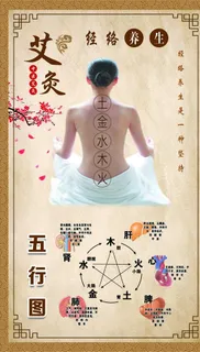 艾灸五行图图片