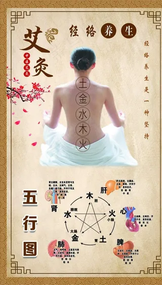 艾灸五行图图片