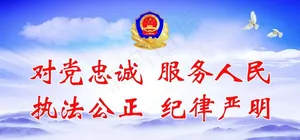对党忠诚 服务人民图片