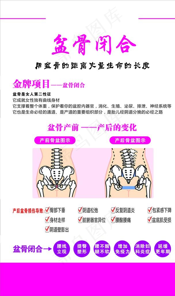 骨盆图片(5909X9452(DPI:300))psd模版下载