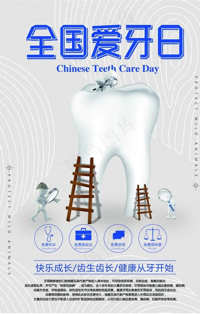 牙齿图片(3543X5315(DPI:150))psd模版下载