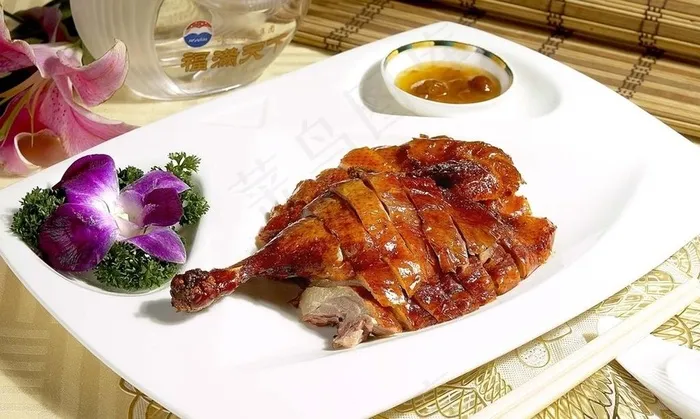 囟鸭图片
