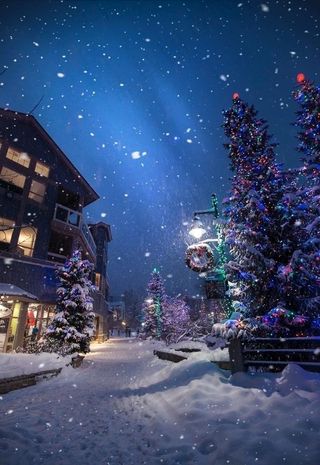 圣诞夜景图片
