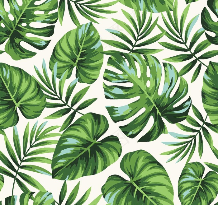 热带叶子图片