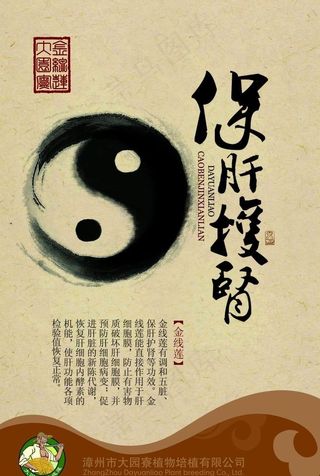 金线莲海报图片